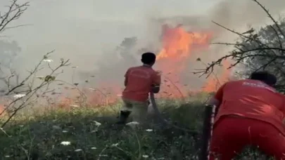 Sakarya’da ağaçlık alanda yangın