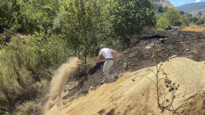 Sakarya’da çıkan orman yangını büyümeden kontrol altına alındı