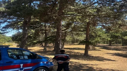 Sakarya'da 'havai fişek' yasağı