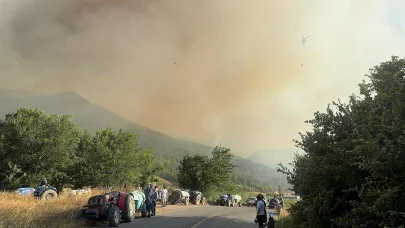 Sakarya'da orman yangını; alevler rüzgarın etkisiyle yayılıyor
