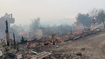 Sakarya'da orman yangını: Taşoluk Mahallesinde 3 ev kül oldu