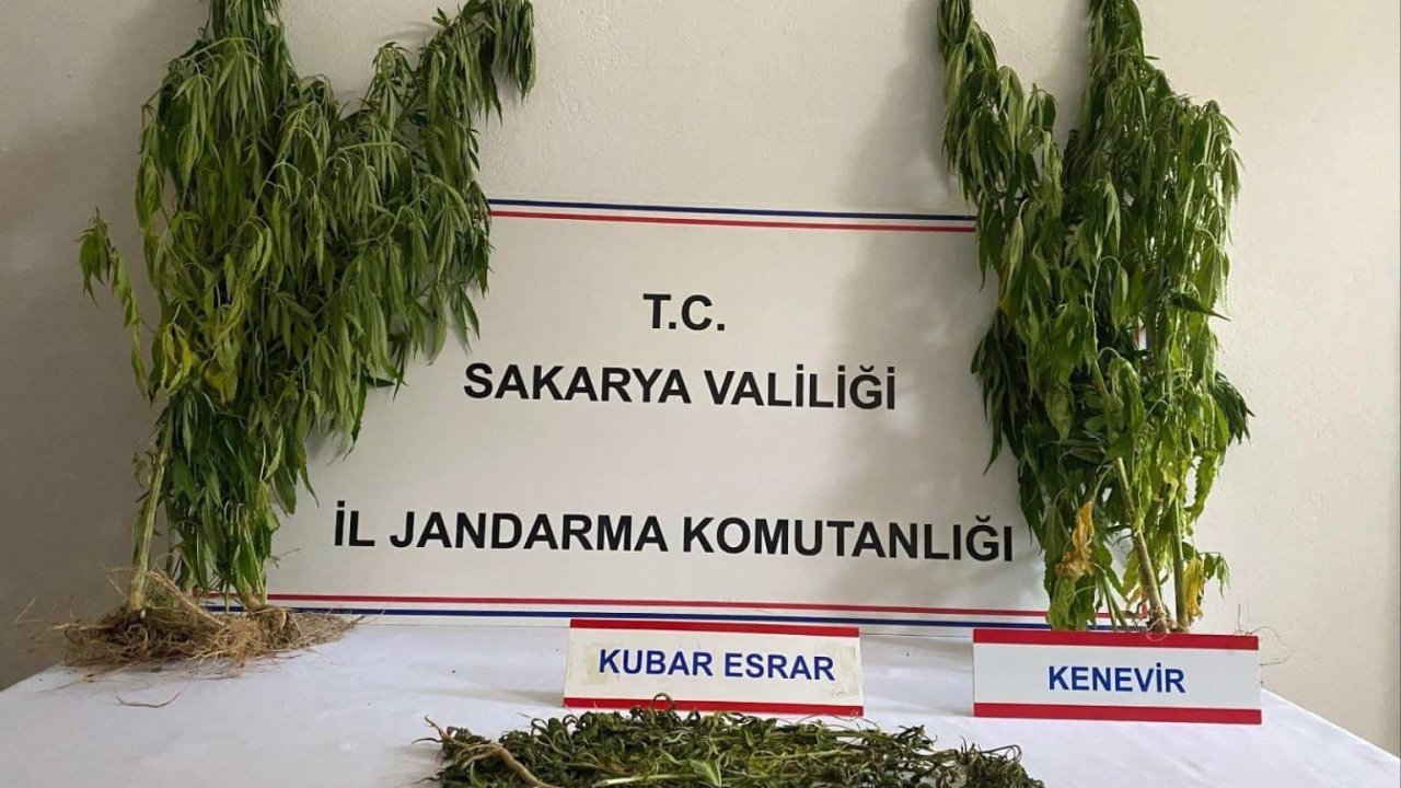 Sakarya'da uyuşturucuya 1 tutuklama