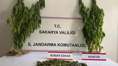 Sakarya'da uyuşturucuya 1 tutuklama