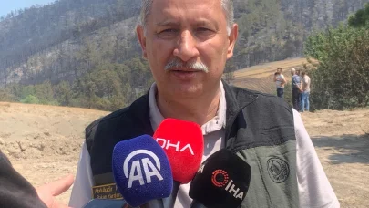 Sakarya'daki orman yangını 2'nci gününde