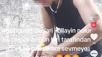 Sokak kedilerine iğne yapıp sosyal medyadan paylaşan kadına hayvanseverlerden tepki