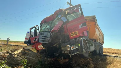 Tekirdag'da ağaca çarpan kamyonda 2 kişi yaralandı