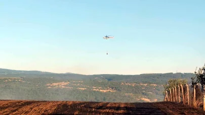 Tekirdağ'da anız yangını; 1 itfaiye eri yaralandı