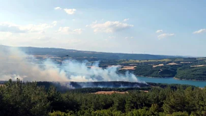 Tekirdağ'da orman yangını