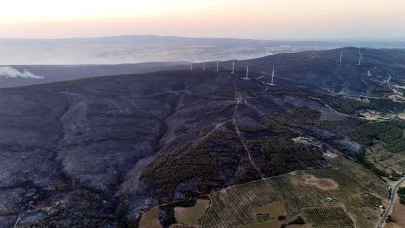 Tekirdağ’da orman yangınında 2’nci gün
