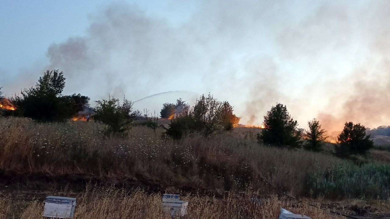 Tekirdağ’da ot yangını