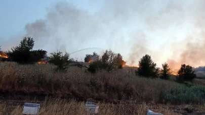 Tekirdağ’da ot yangını