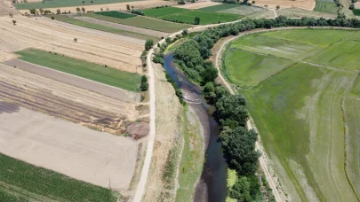 Tunca Nehri'nin kuruma noktasına geldiği Edirne’de çeltik üreticisi endişeli