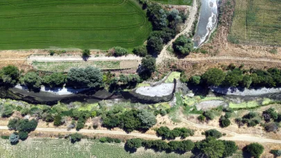 Tunca Nehri’nin kuruma noktasına geldiği Edirne’de, çeltik üreticisi tedirgin