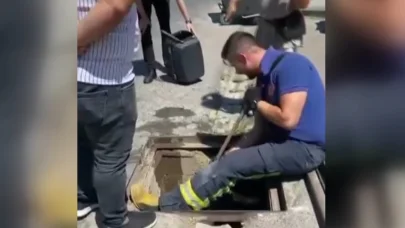 Yağmur suyu kanalında doğan kedileri itfaiye kurtardı