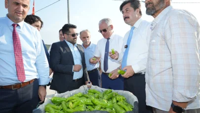 Yenişehirli çiftçi, ürünlerini Libya’ya ihraç edecek