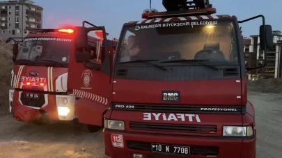 Zeytinlik yangını çıktı: ormana sıçramaması için müdahale sürüyor