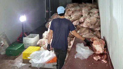 Bu Görüntünün Bedeli 210 Bin Lira!