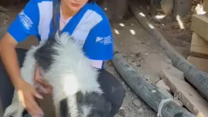 Alevlerden kaçıp 7 yavrusuyla maden ocağına sığınmış