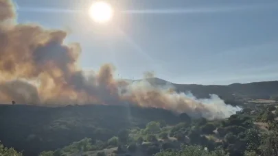 Balıkesir’de orman yangını
