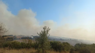 Balıkesir'de tarım arazisinde yangın