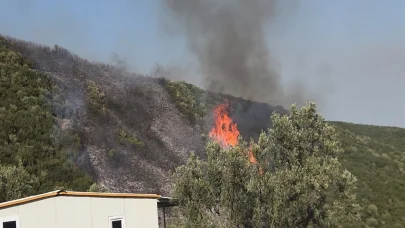 Bursa'da orman yangını soruşturmasında 1 gözaltı