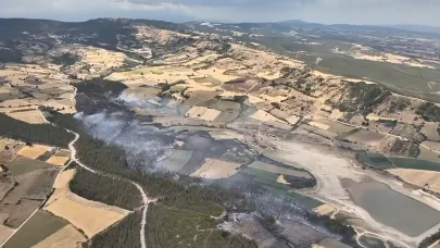 Bursa'da orman yangını