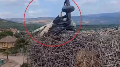 Cami kubbesinde ayağı aleme sıkışan leyleği kurtarma anları kask kamerasında