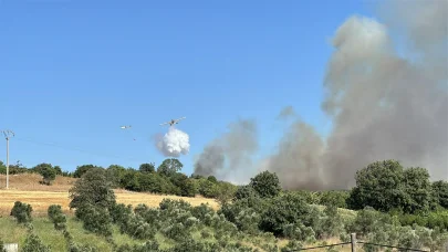 Çanakkale orman yangını