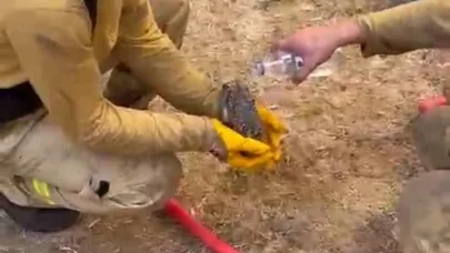 Çanakkale'de iki orman yangını