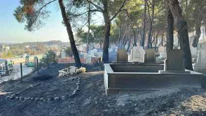Çanakkale'de orman yangını 2'nci gününde