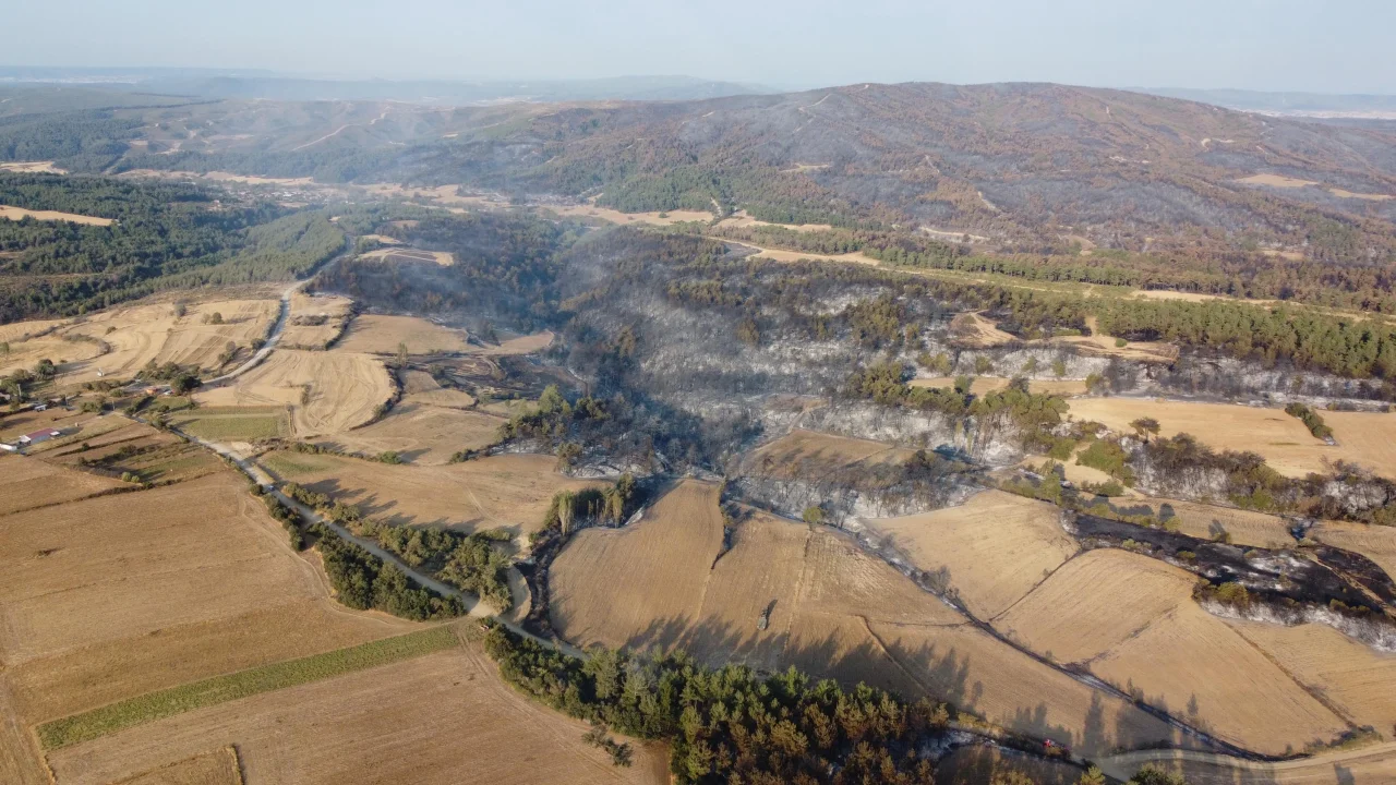 Çanakkale'de orman yangını kontrol altında; yanan alanlar dronla görüntülendi