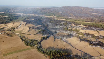 Çanakkale'de orman yangını kontrol altında; yanan alanlar dronla görüntülendi
