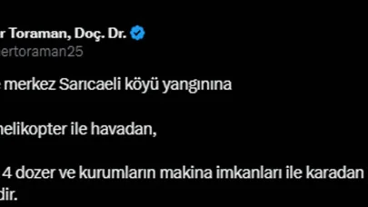 Çanakkale'de orman yangını