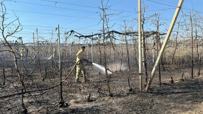 Çanakkale'de tarım arazisinde yangın; 1 sera yandı