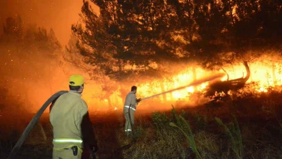 Çanakkale'deki 4 yangında 5 bin 236 hektar orman alanı zarar gördü