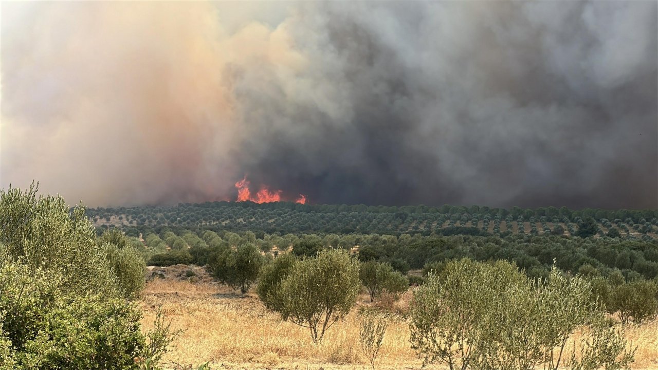 Çanakkale'deki orman yangını 2'nci gününde