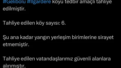 Çanakkale'deki orman yangını 2'nci gününde