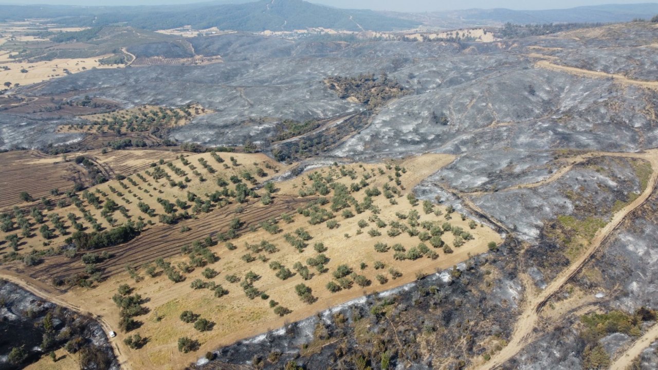Çanakkale'deki orman yangınında zarar gören alanlar dron ile görüntülendi