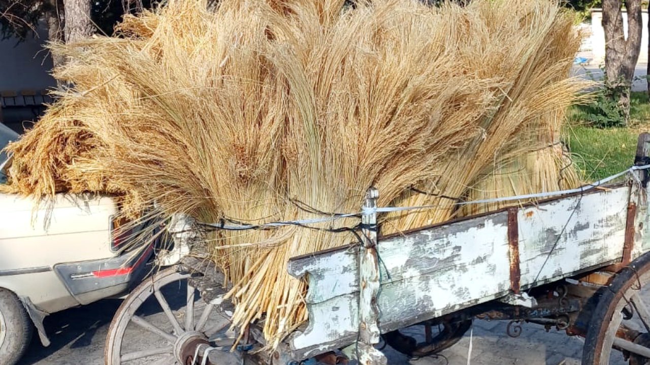 Edirne Ticaret Borsası’nda, yılın ilk mahsul süpürge telleri satışa çıktı