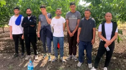 Edirne’de 9 kaçak göçmen yakalandı
