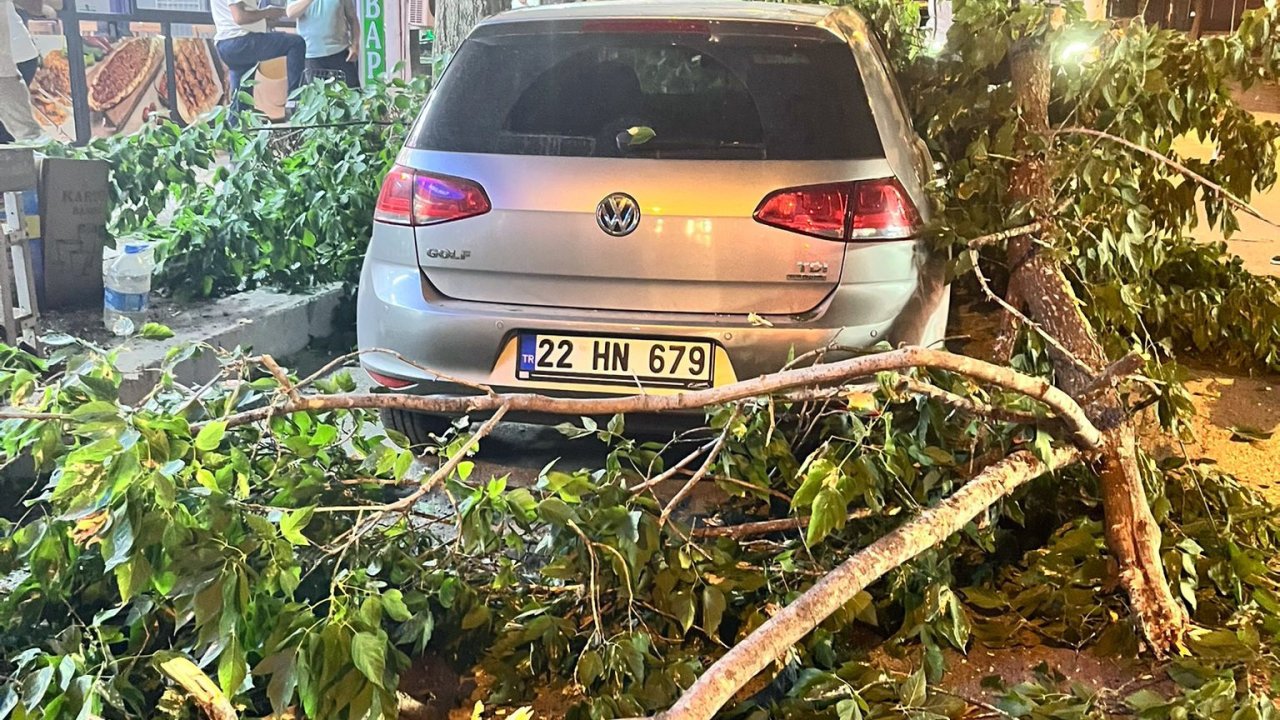 Edirne'de ağaç dalı otomobil ve minibüsün üzerine devrildi