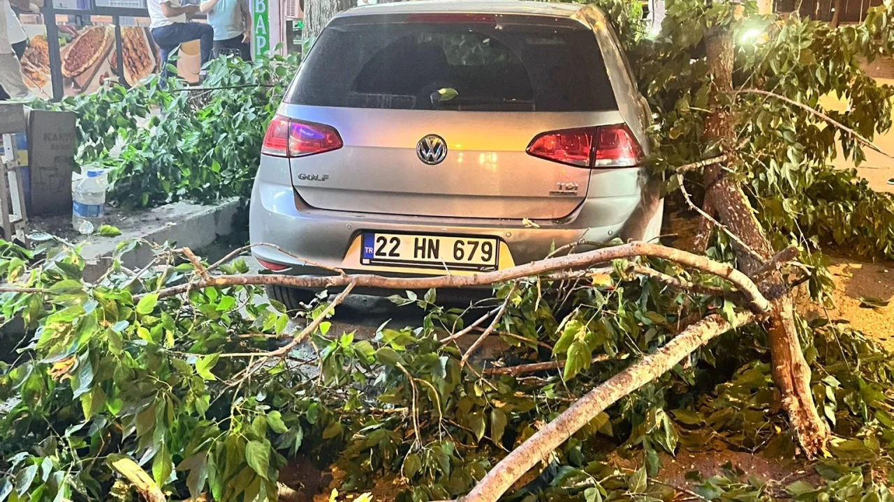 Edirne'de ağaç dalı otomobil ve minibüsün üzerine devrildi