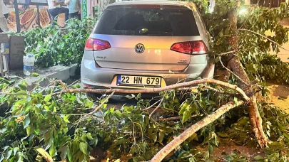 Edirne'de ağaç dalı otomobil ve minibüsün üzerine devrildi