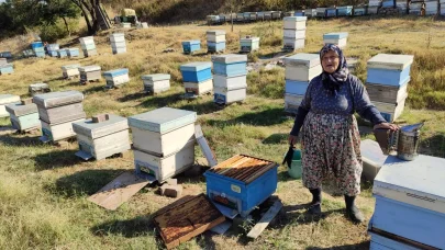 Edirne’de arı kovanları kontrol edildi, arıcılar bilgilendirildi