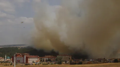 Edirne'de makilikte çıkıp tarlaya sıçrayan yangın kontrol altında