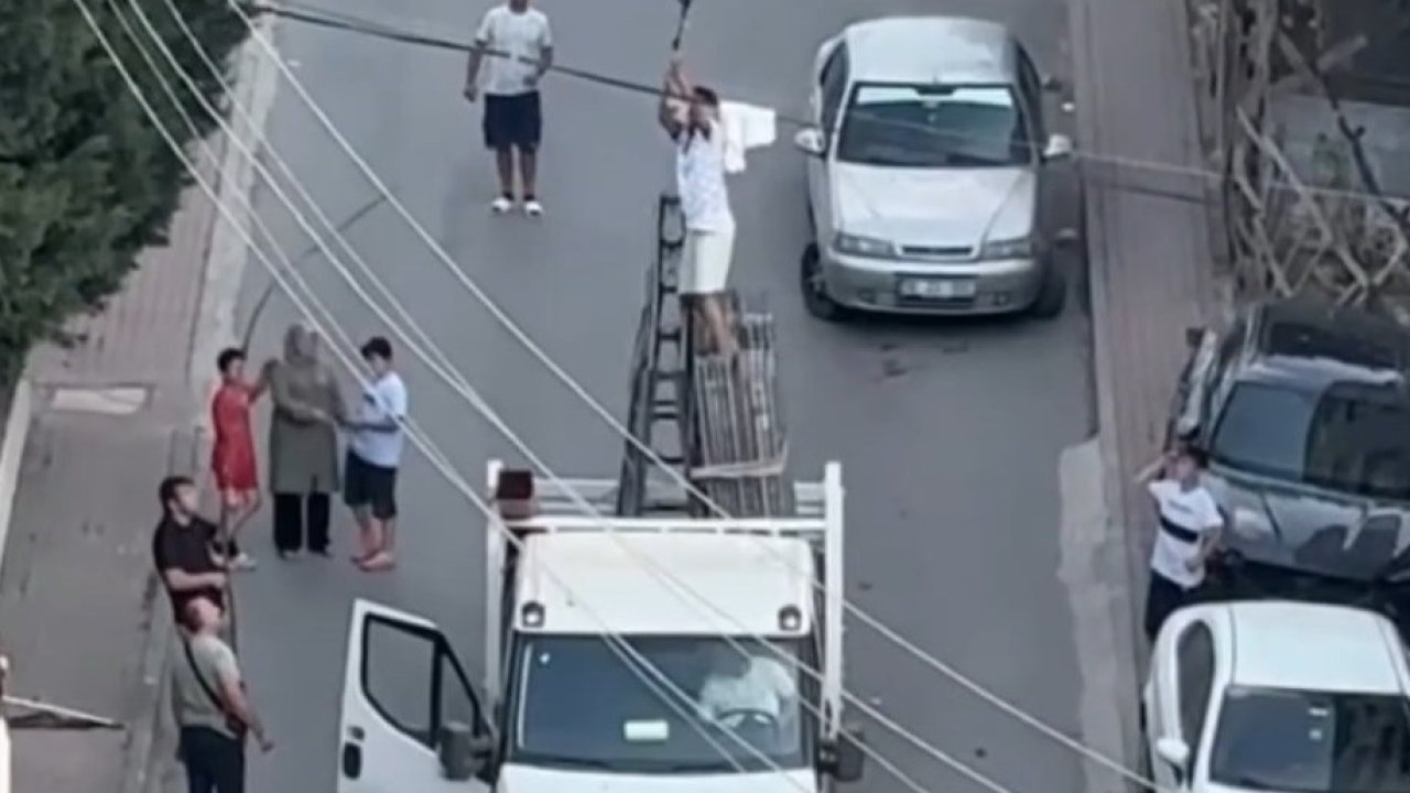 Elektrik kablosuna takılan güvercini kamyonetin kasasına çıkarak kurtardı