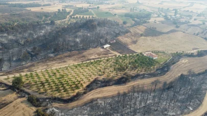 Gelibolu yangınından etkilenmeyen ceviz bahçesi dronla görüntülendi