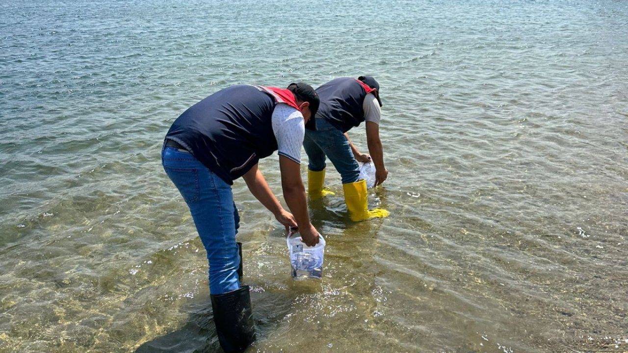 Kırklareli’de 1 milyon adet pullu sazan yavrusu, göl ve göletlere bırakıldı