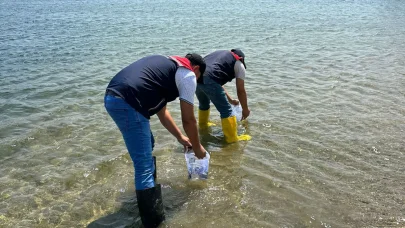 Kırklareli’de 1 milyon adet pullu sazan yavrusu, göl ve göletlere bırakıldı