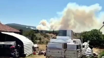 Kocaeli'de orman yangını